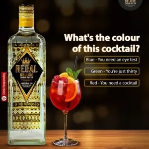 REGAL DRY GIN DELUXE